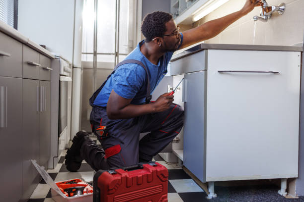  Dundee, MI Plumbing Services Pros